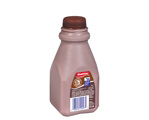 Chocolate Milk 473 mL Jug